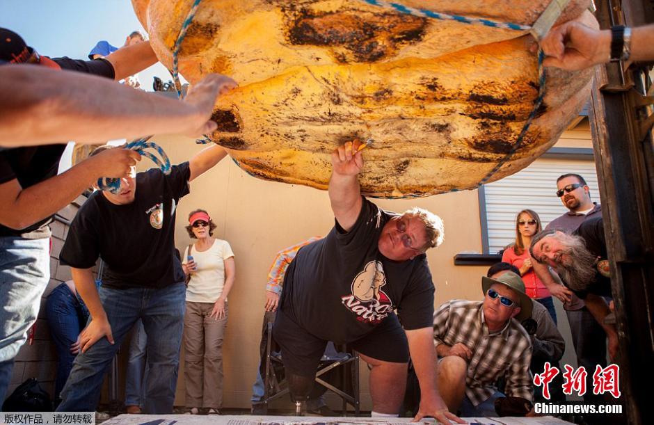 ???? ?????? ???? ??? ????? ??? 933 ??? ?? ?????? ??????? ????????