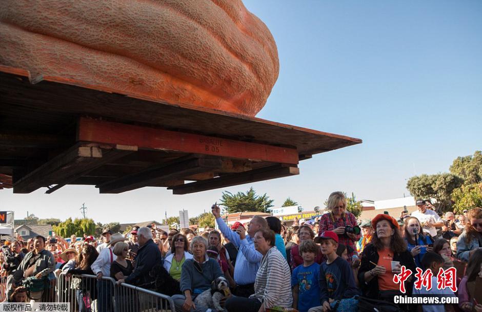 ???? ?????? ???? ??? ????? ??? 933 ??? ?? ?????? ??????? ????????