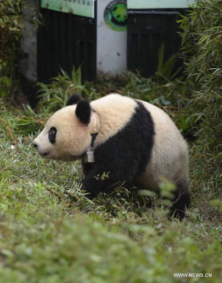 ????? ???? ???? ????? ??? ??????