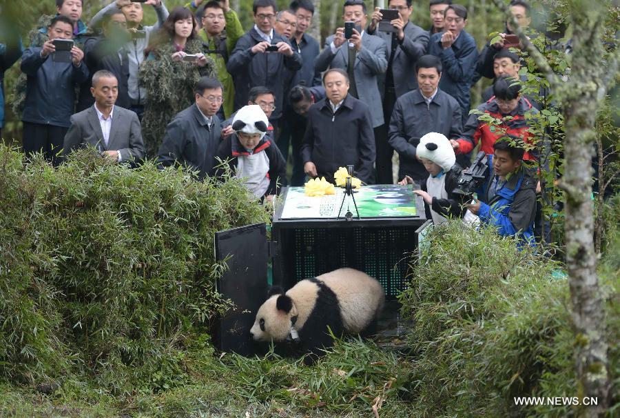 ????? ???? ???? ????? ??? ??????