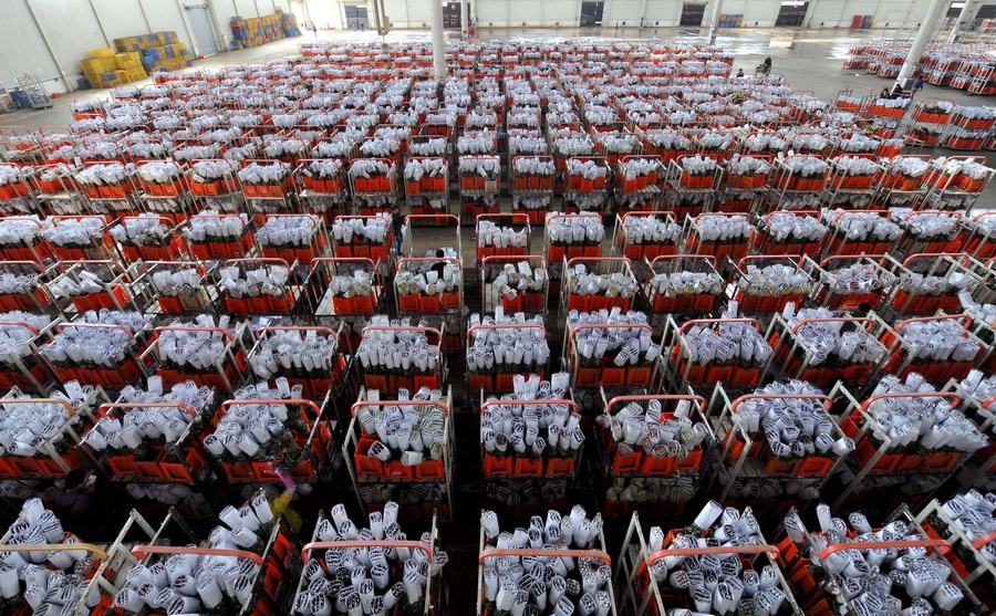 ??????.. ????? ?????? ?? ????