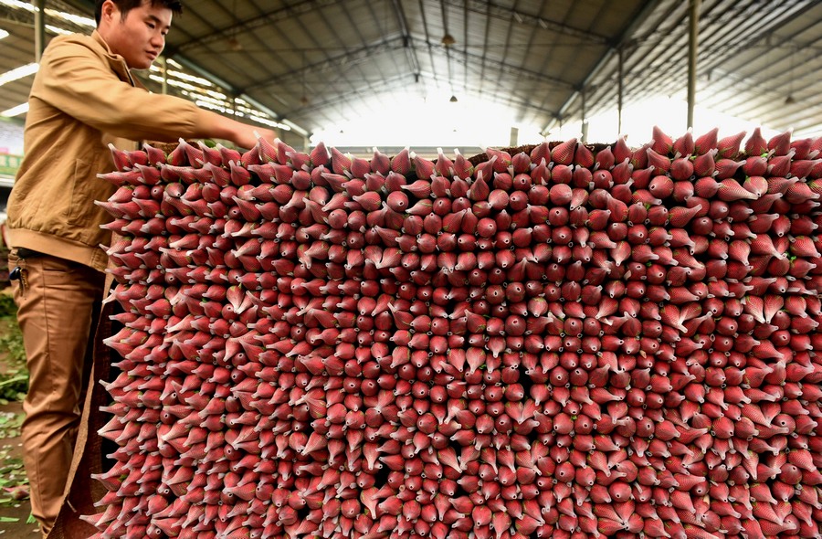 ??????.. ????? ?????? ?? ????