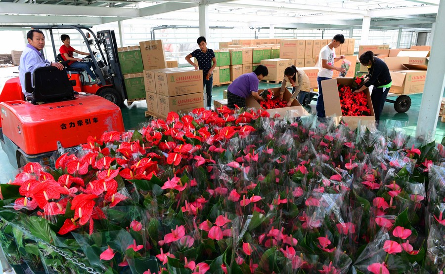 ??????.. ????? ?????? ?? ????