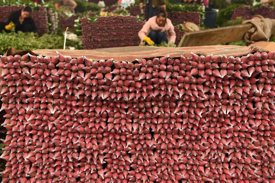 ??????.. ????? ?????? ?? ????