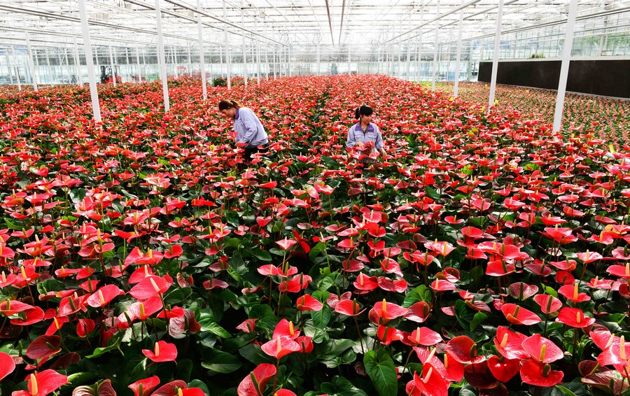 ??????.. ????? ?????? ?? ????