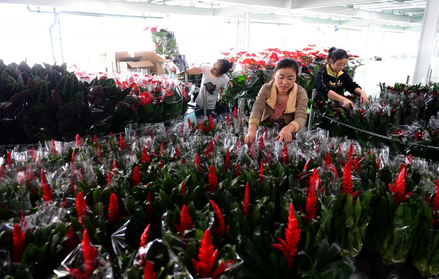 ??????.. ????? ?????? ?? ????