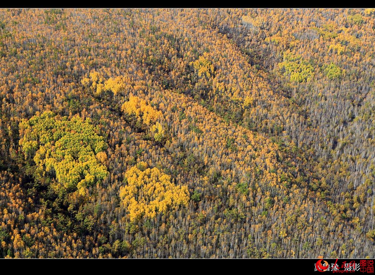 ???? ?????? ?? ???? ???? ?????