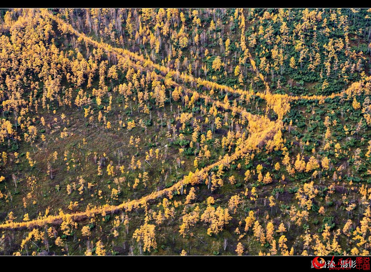 ???? ?????? ?? ???? ???? ?????