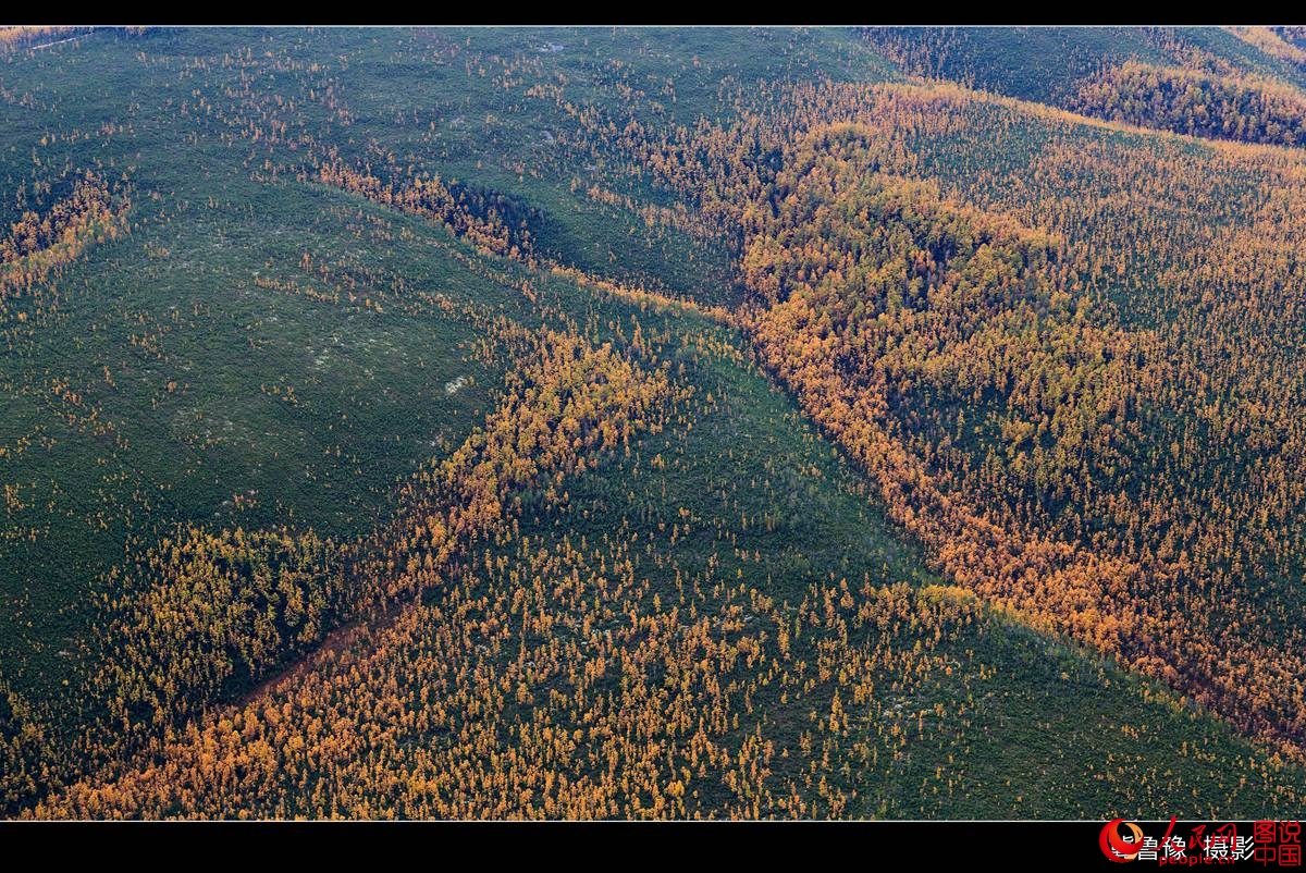 ???? ?????? ?? ???? ???? ?????