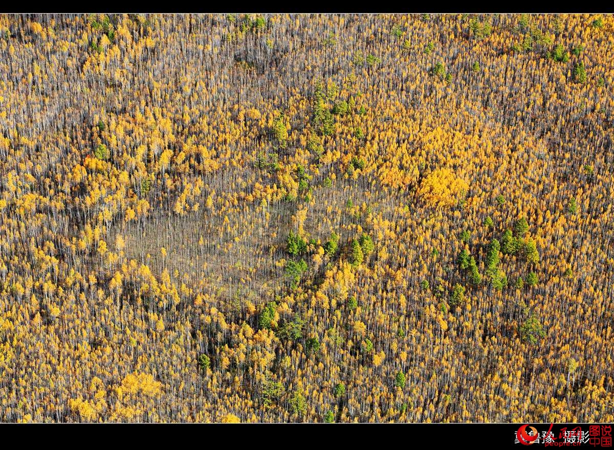 ???? ?????? ?? ???? ???? ?????