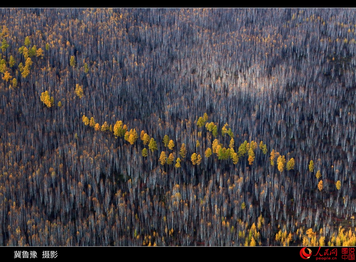 ???? ?????? ?? ???? ???? ?????