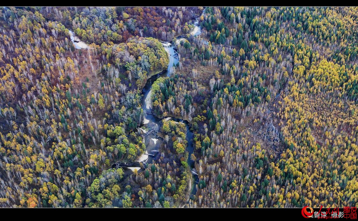 ???? ?????? ?? ???? ???? ?????