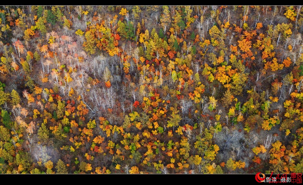 ???? ?????? ?? ???? ???? ?????