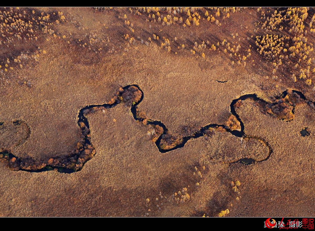 ???? ?????? ?? ???? ???? ?????