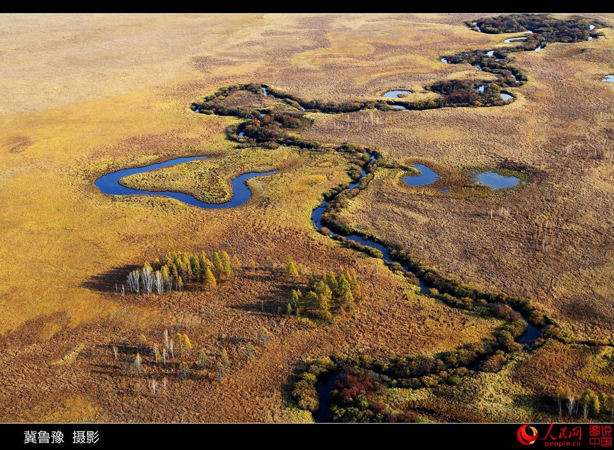 ???? ?????? ?? ???? ???? ?????