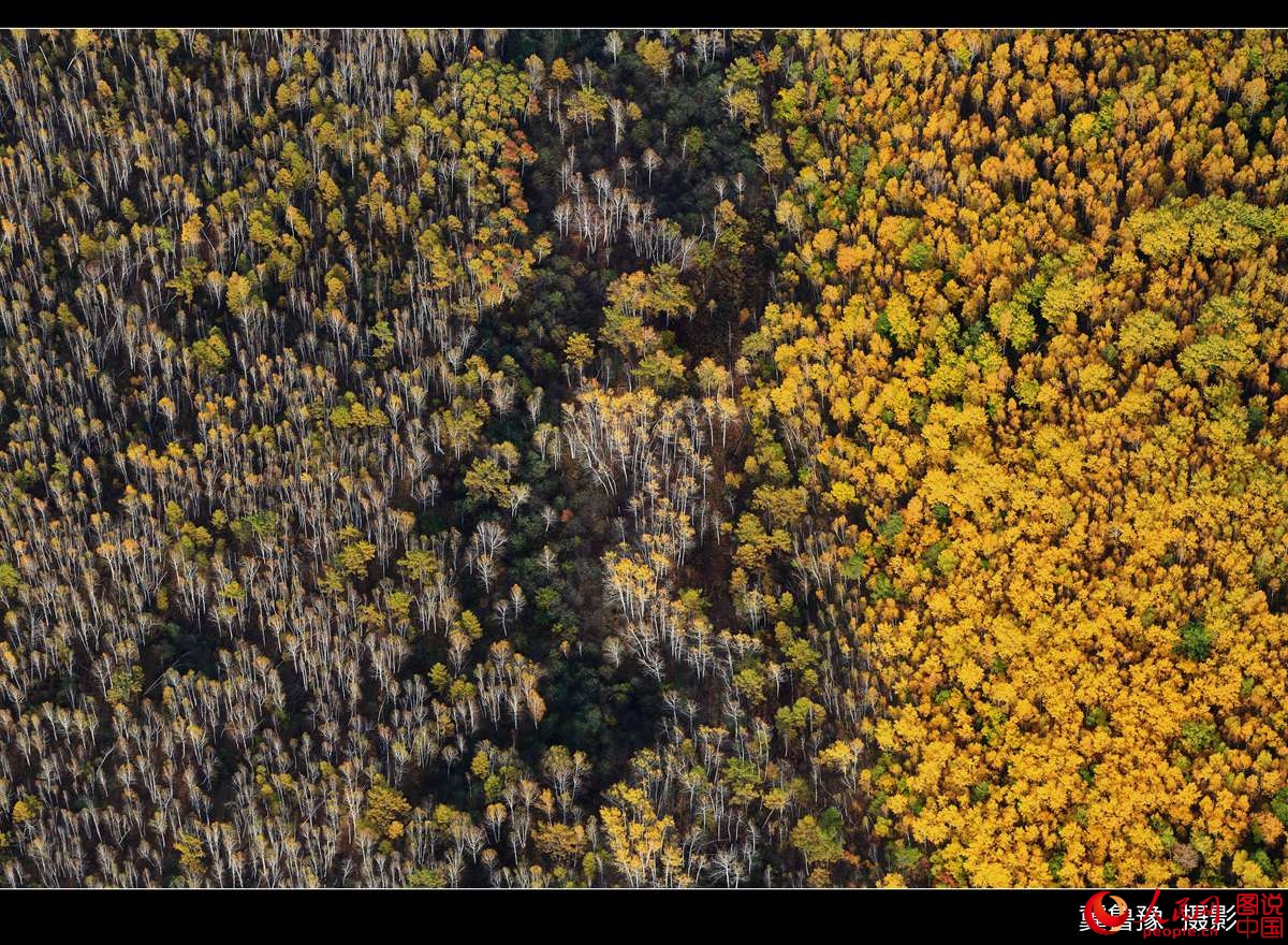 ???? ?????? ?? ???? ???? ?????