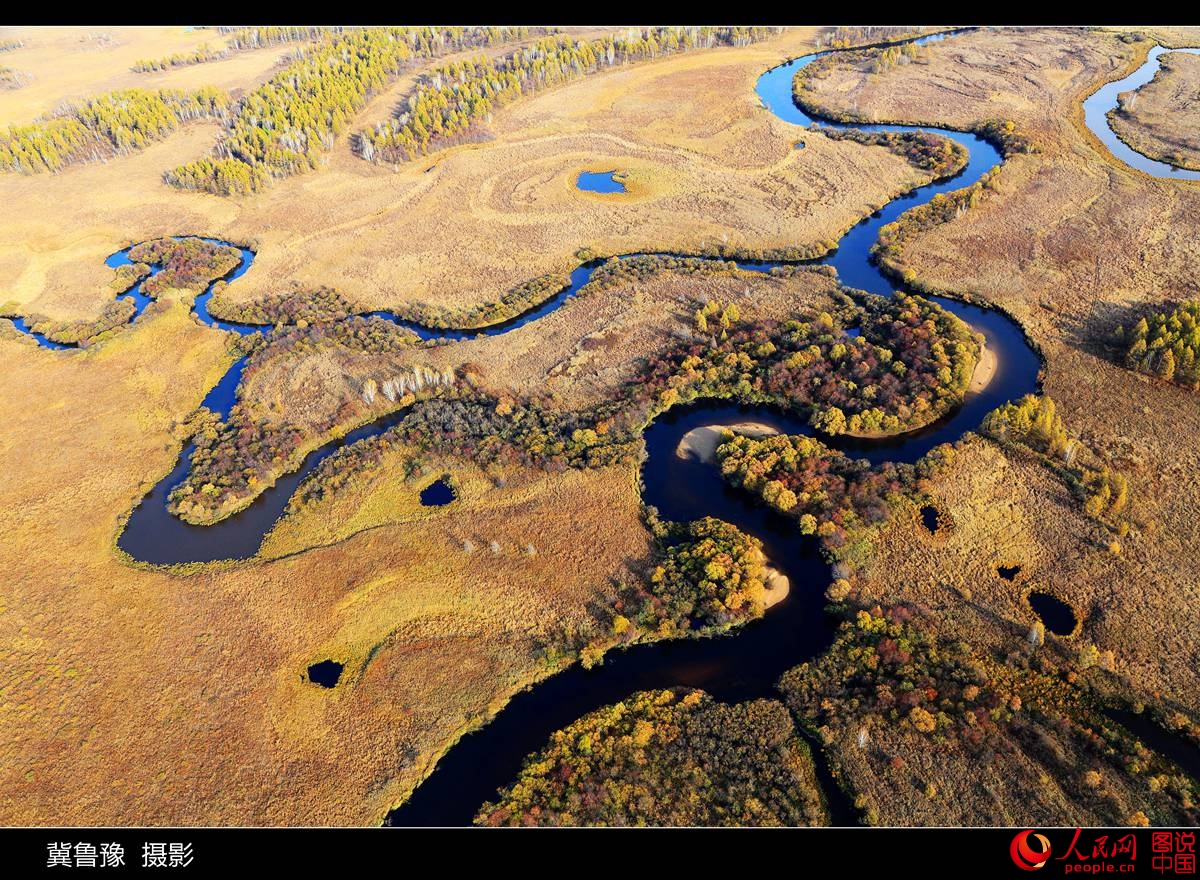 ???? ?????? ?? ???? ???? ?????