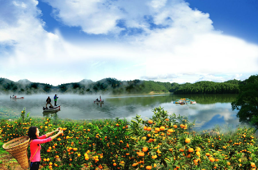 ???? ??? ????? ???? ? ????? ???????? ?????? ?????? ?????? ?????? ???????    