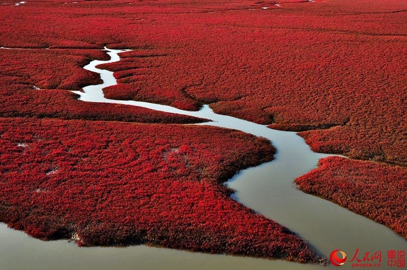 ???? ???? ???? ????? ?????