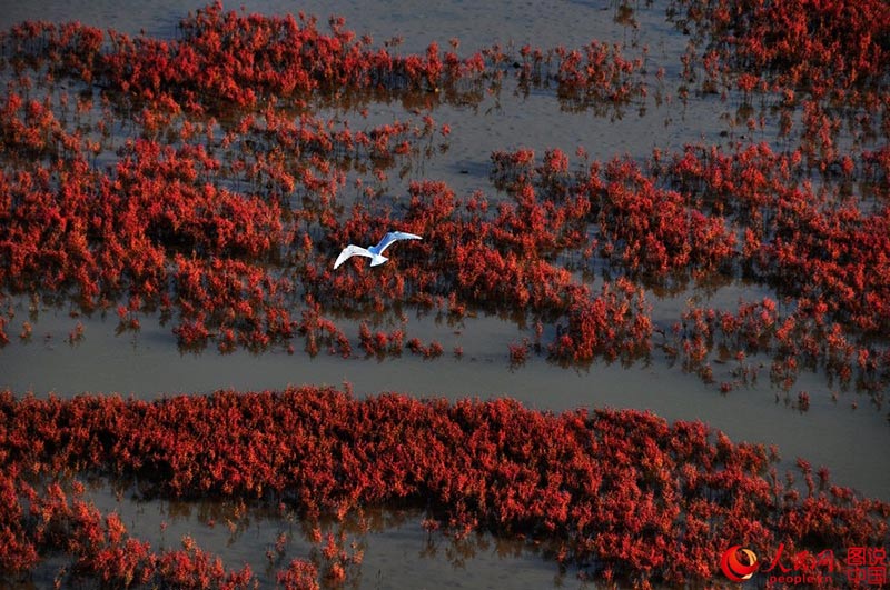 ???? ???? ???? ????? ?????