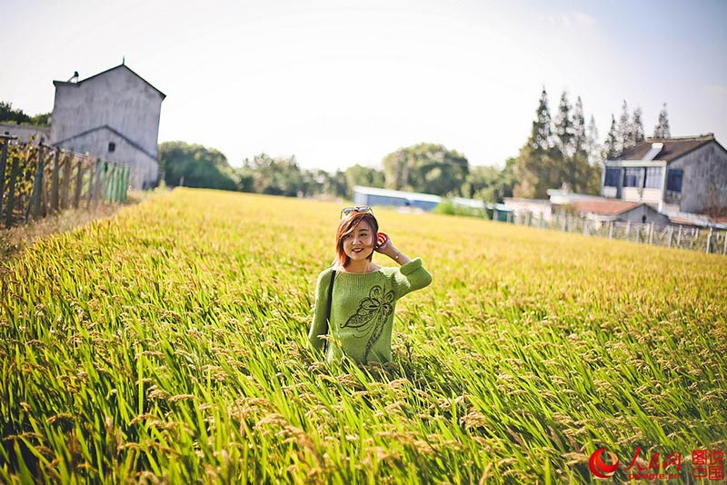 ???? ???? ???? ????? ?????