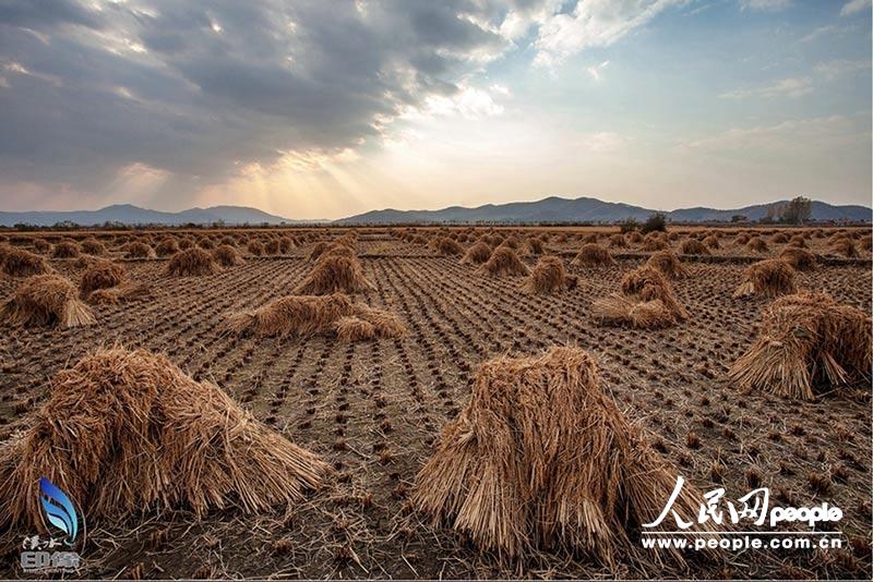 ???? ???? ???? ????? ?????