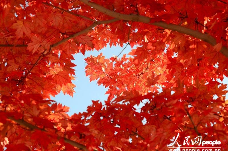 ???? ???? ???? ????? ?????