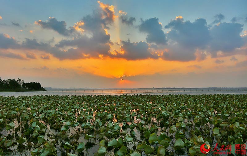 ???? ???? ???? ????? ?????