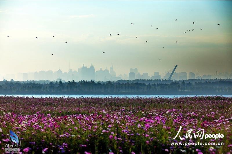 ???? ???? ???? ????? ?????