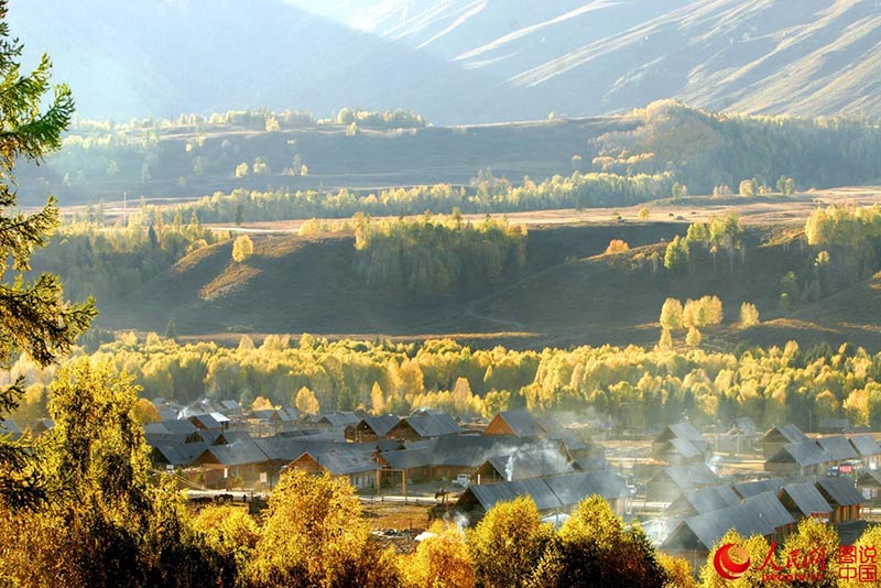 ???? ???? ???? ????? ?????