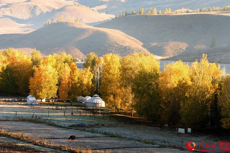 ???? ???? ???? ????? ?????