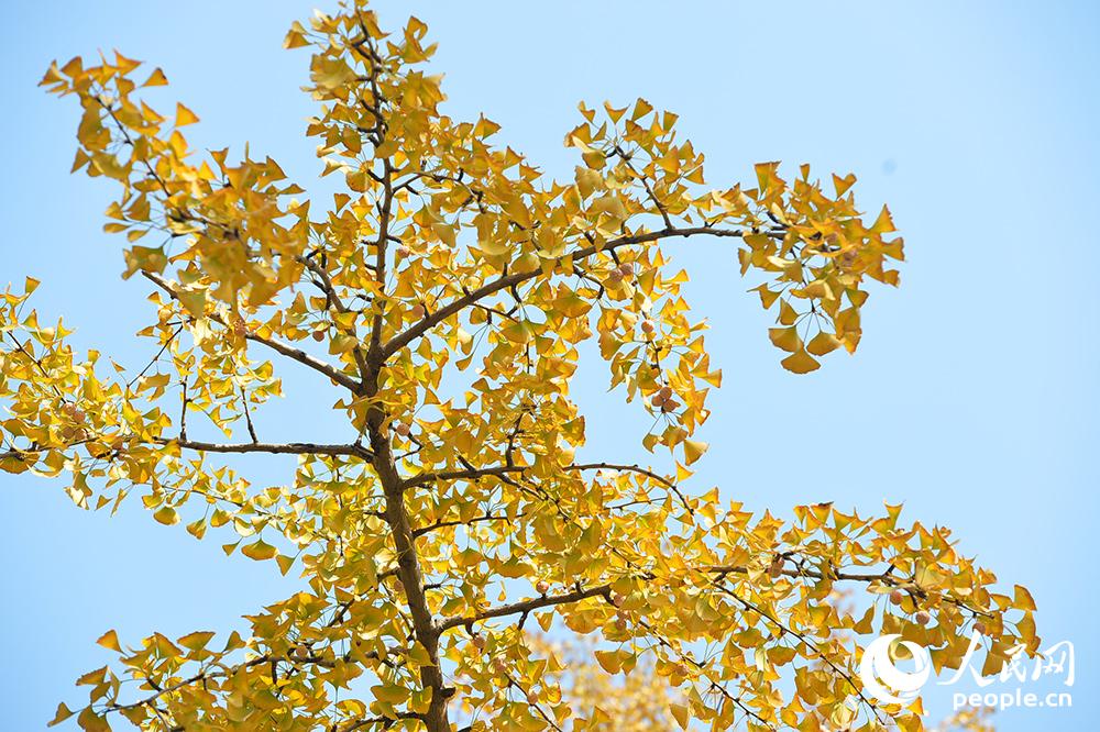 ???? ???? ???? ????? ?????