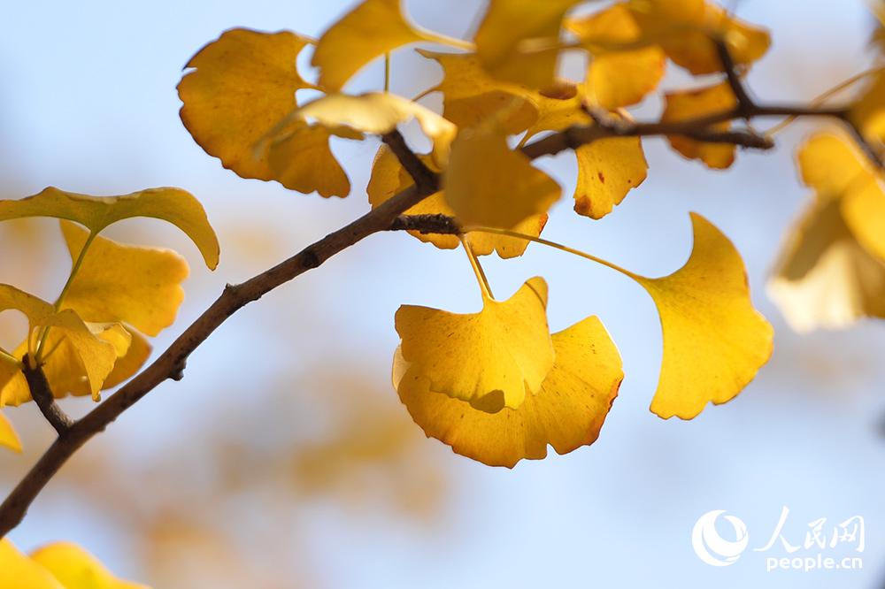 ???? ???? ???? ????? ?????