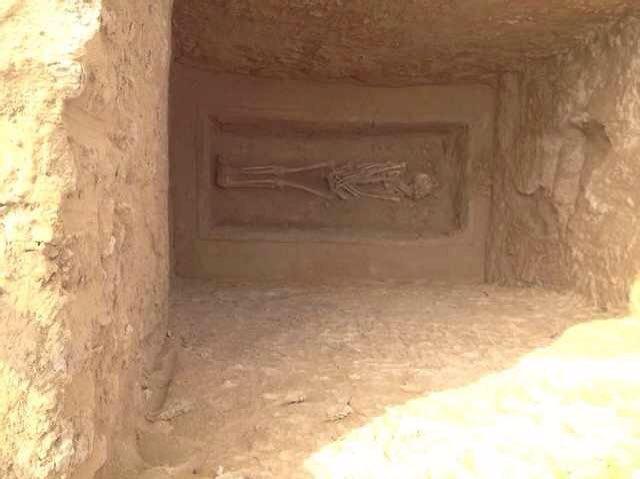 ?????? 56 ????? ????? ?? ???? ???? ?????