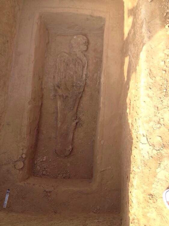 ?????? 56 ????? ????? ?? ???? ???? ?????