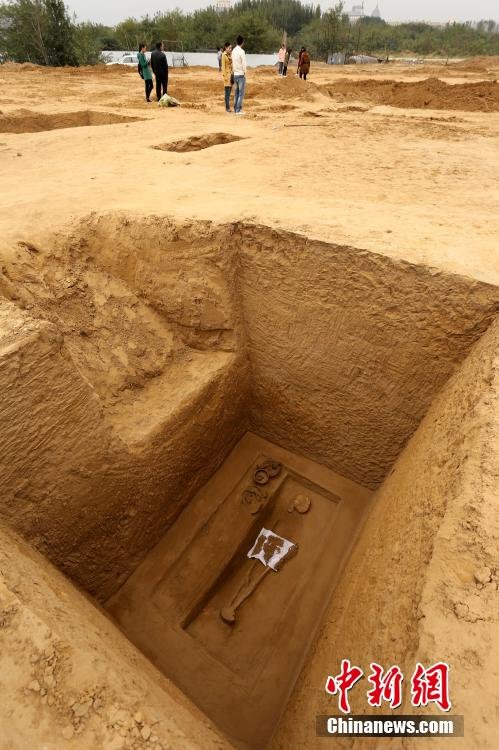 ?????? 56 ????? ????? ?? ???? ???? ?????