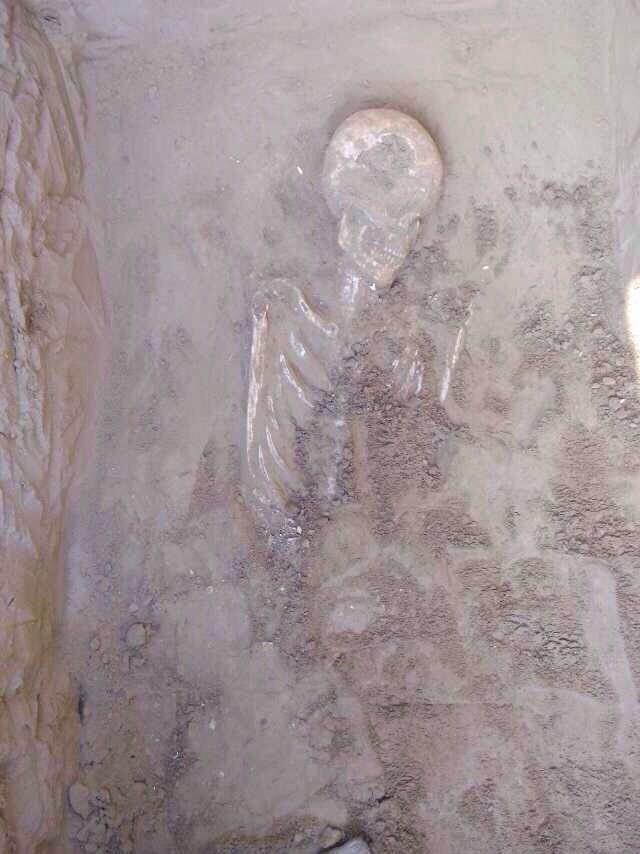 ?????? 56 ????? ????? ?? ???? ???? ?????