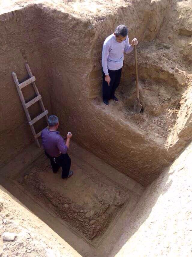 ?????? 56 ????? ????? ?? ???? ???? ?????