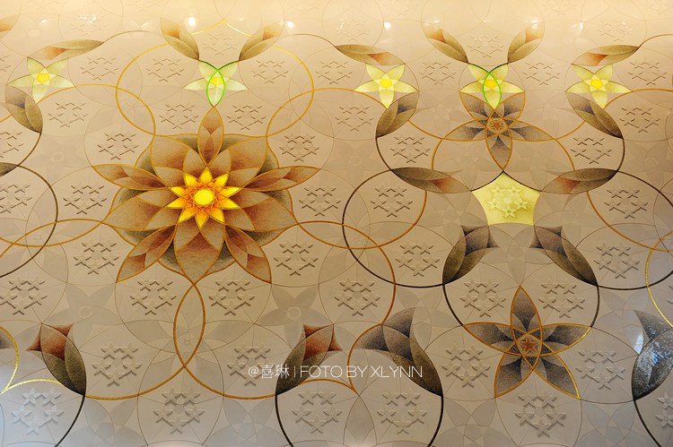 ?????? ???: ???? ?????? ??????