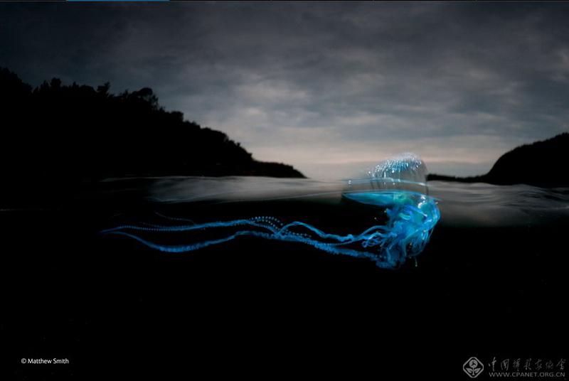 ????? ????? ?????? ?? ?????? "???? ?????? ??????"