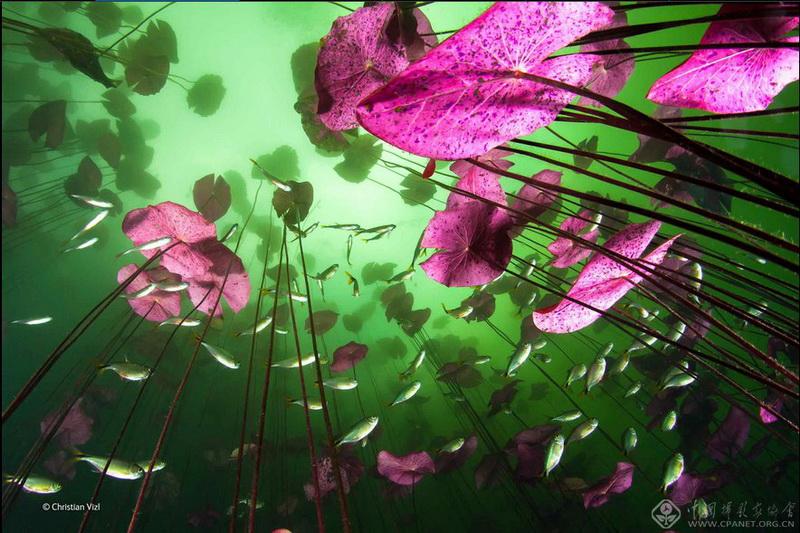 ????? ????? ?????? ?? ?????? "???? ?????? ??????"