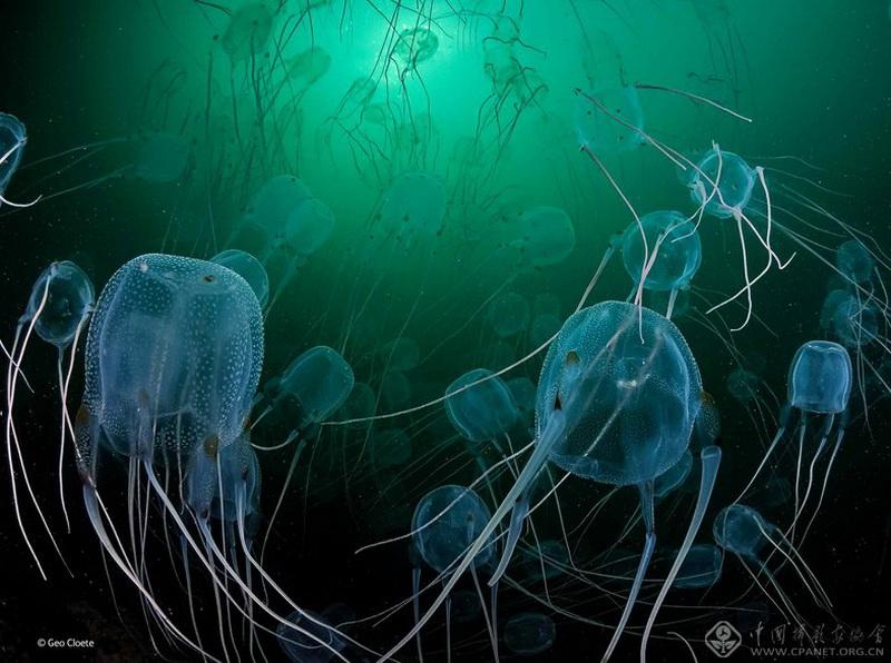 ????? ????? ?????? ?? ?????? "???? ?????? ??????"