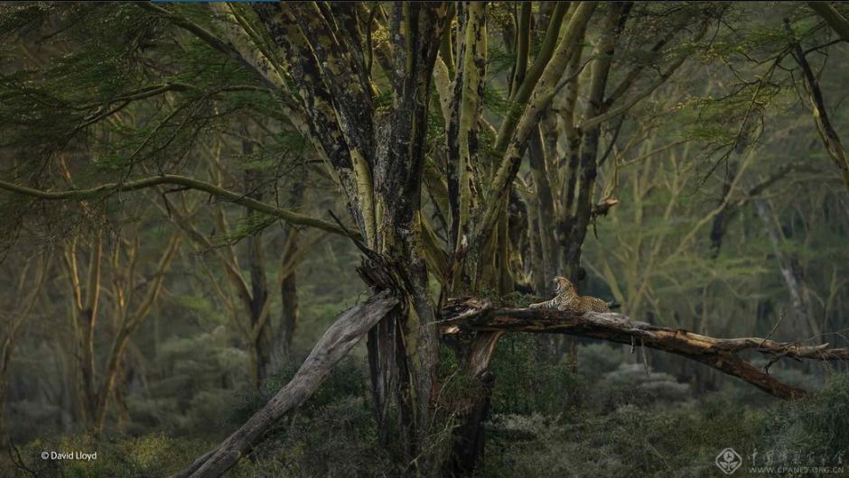 ????? ????? ?????? ?? ?????? "???? ?????? ??????"