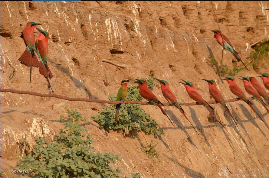 ????? ????? ?????? ?? ?????? "???? ?????? ??????"