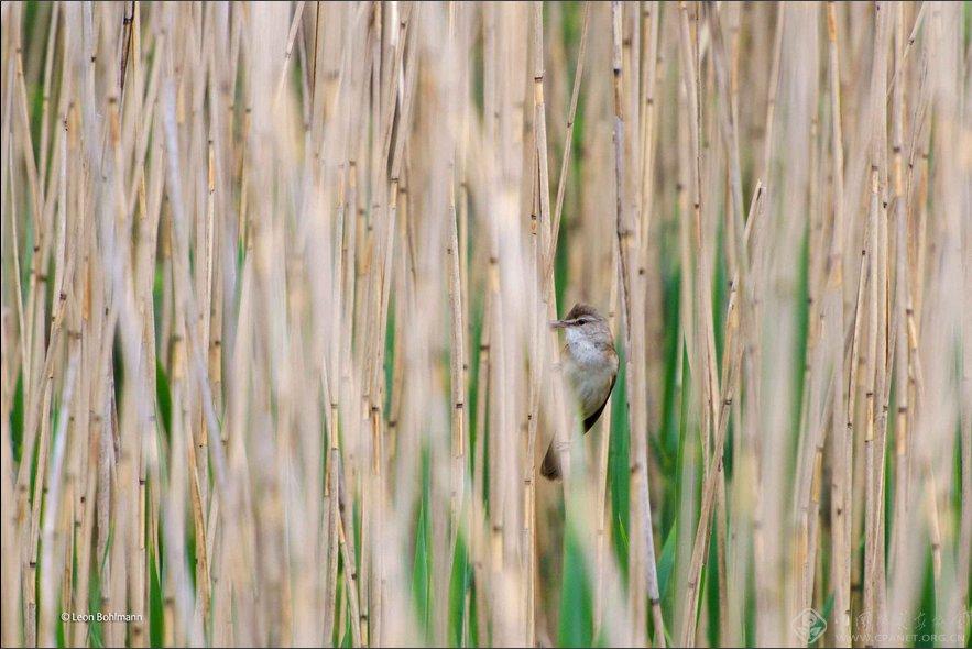 ????? ????? ?????? ?? ?????? "???? ?????? ??????"