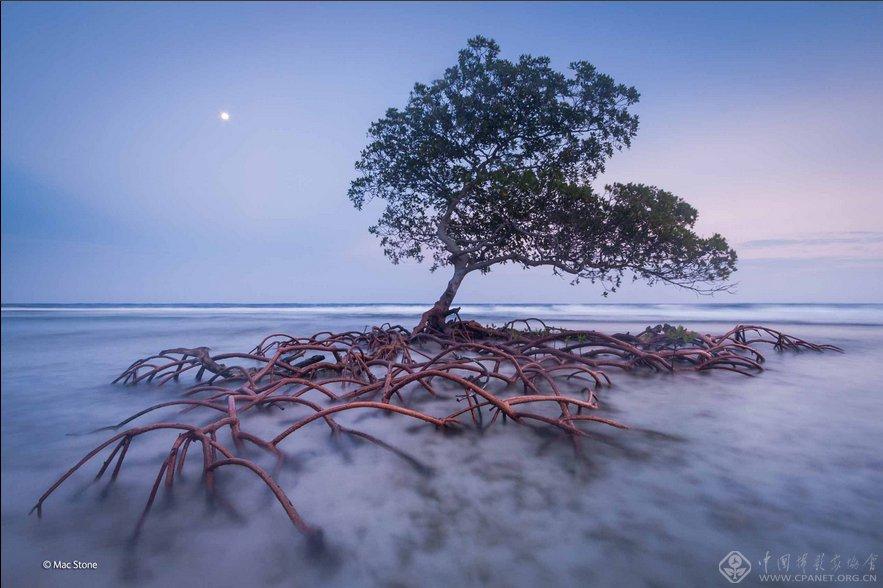 ????? ????? ?????? ?? ?????? "???? ?????? ??????"