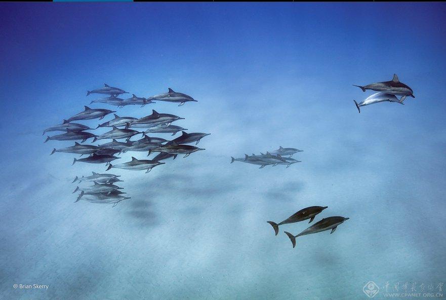 ????? ????? ?????? ?? ?????? "???? ?????? ??????"