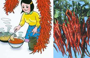 ?????? ????? ?? ????? ???????