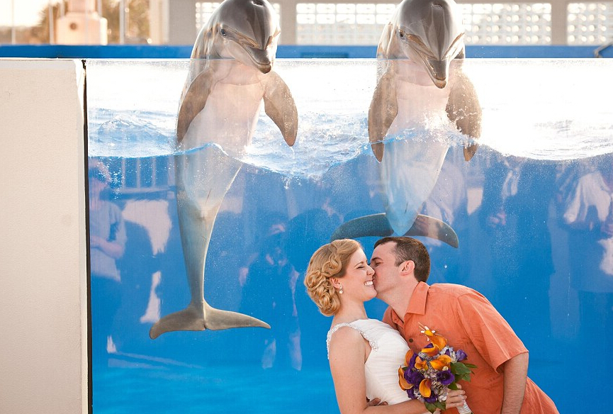 ???????? ???? ???? ???? ??????? ??????????