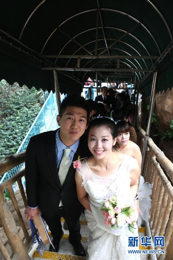 ??? ???? ?? ?????? ?22 ???? ?? ???????? ???? ?????